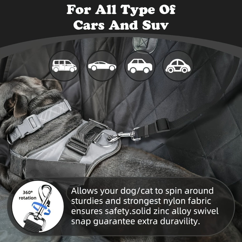 2 Piece Dog Leash Set